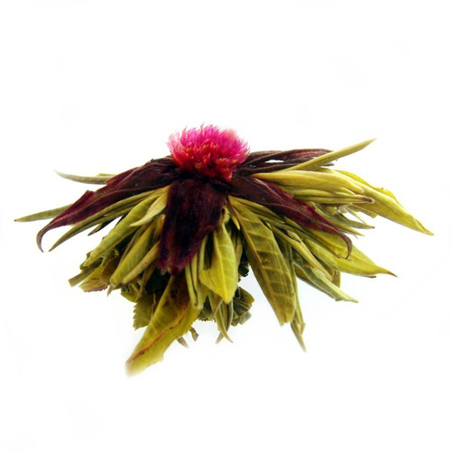 Herbata Biała Kwitnąca `Yin Rue Shen Hui` Tańczący Płomyczek